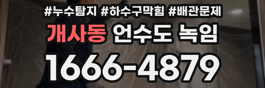 개사동 언수도 녹임