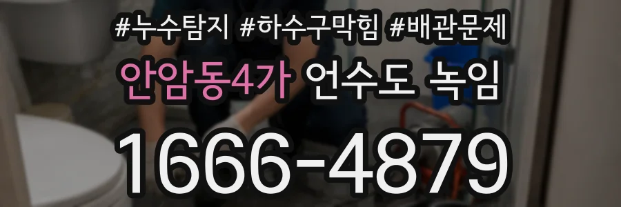 안암동4가 언수도 녹임