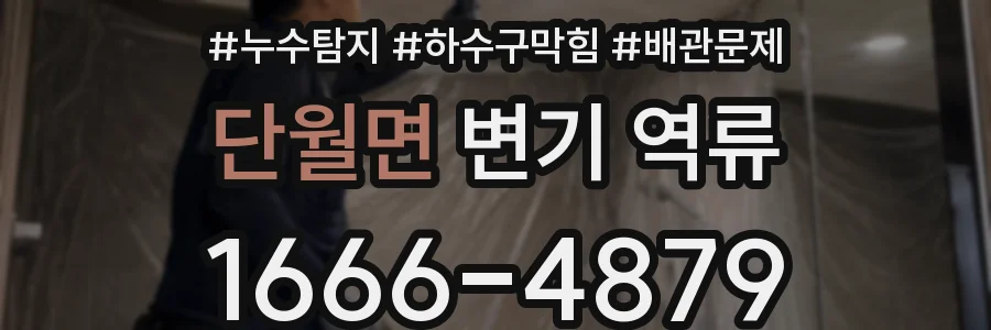 단월면 변기 역류