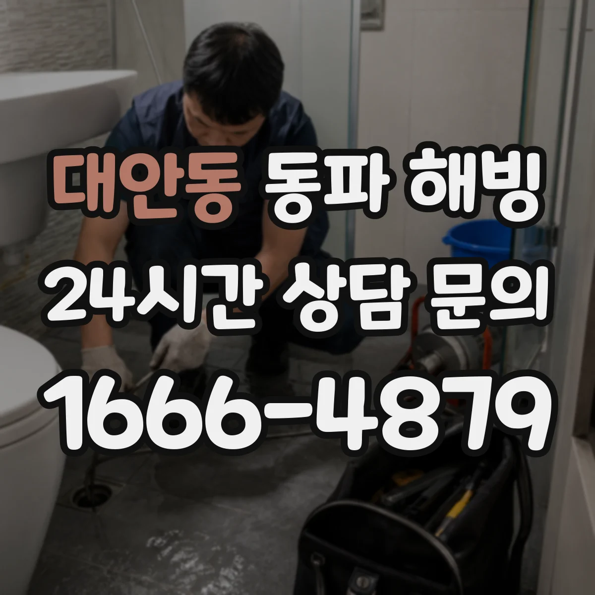 대안동 동파 해빙