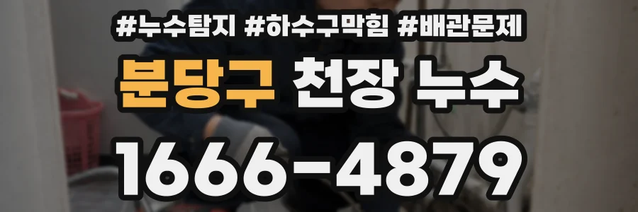 분당구 천장 누수