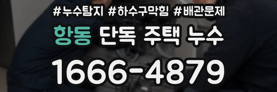 항동 단독 주택 누수