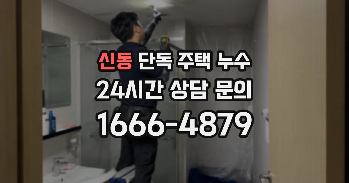 신동 단독 주택 누수