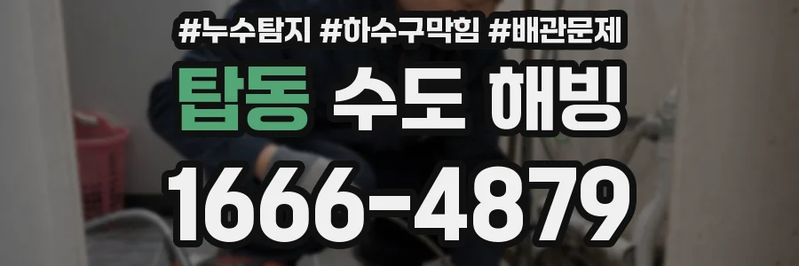탑동 수도 해빙