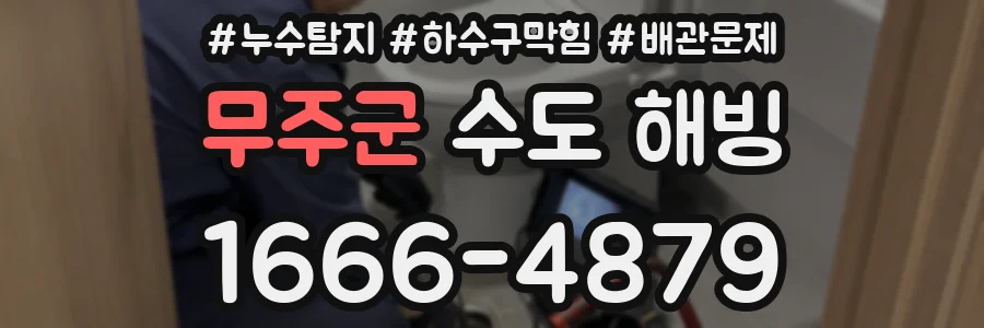 무주군 수도 해빙
