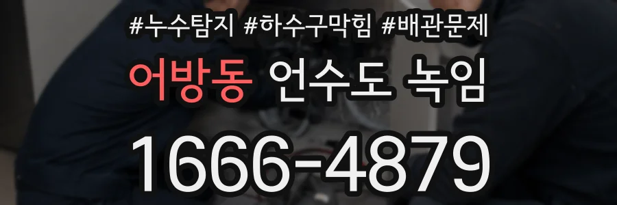 어방동 언수도 녹임