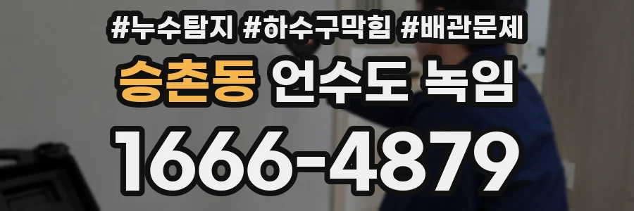 승촌동 언수도 녹임