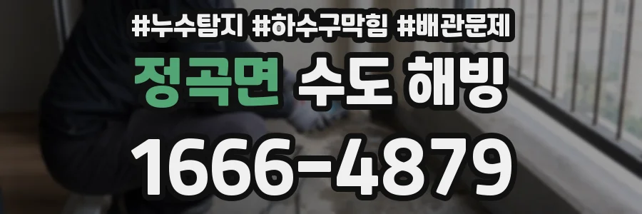 정곡면 수도 해빙