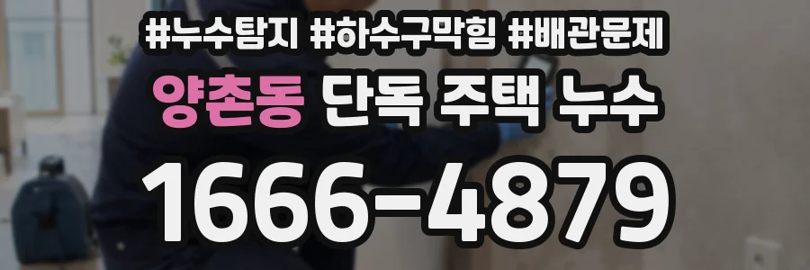 양촌동 단독 주택 누수