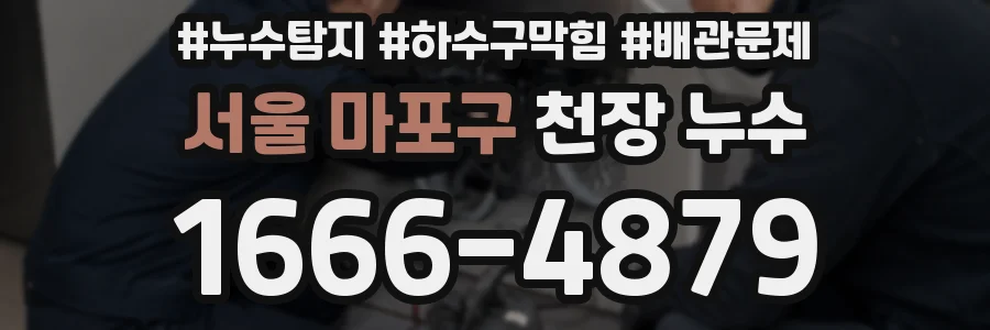 서울 마포구 천장 누수
