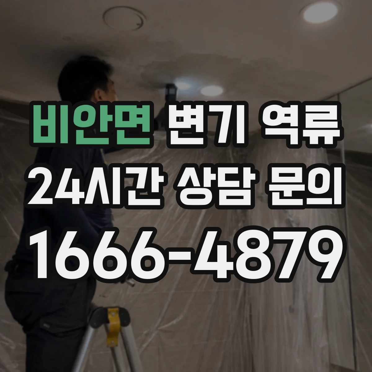 비안면 변기 역류