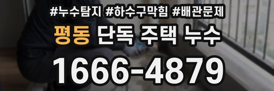 평동 단독 주택 누수