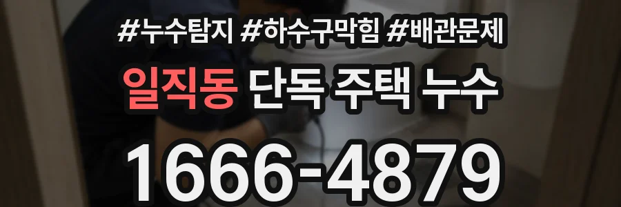 일직동 단독 주택 누수