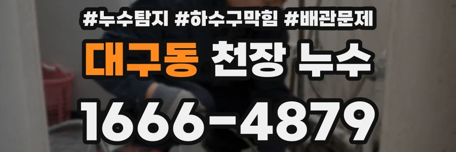 대구동 천장 누수