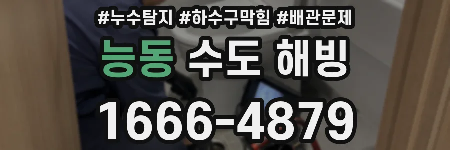 능동 수도 해빙