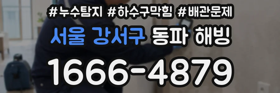 서울 강서구 동파 해빙