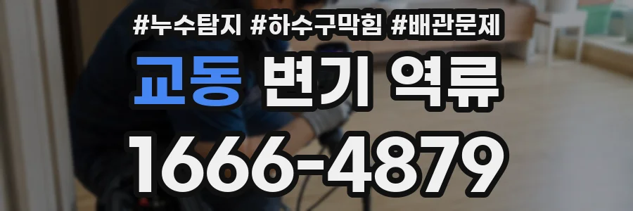 교동 변기 역류