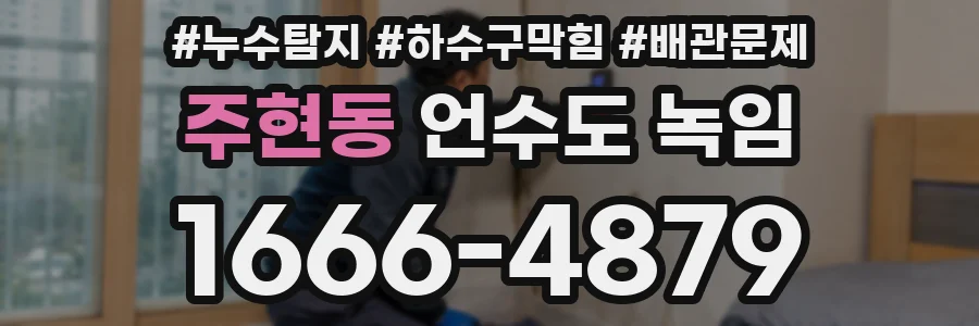 주현동 언수도 녹임