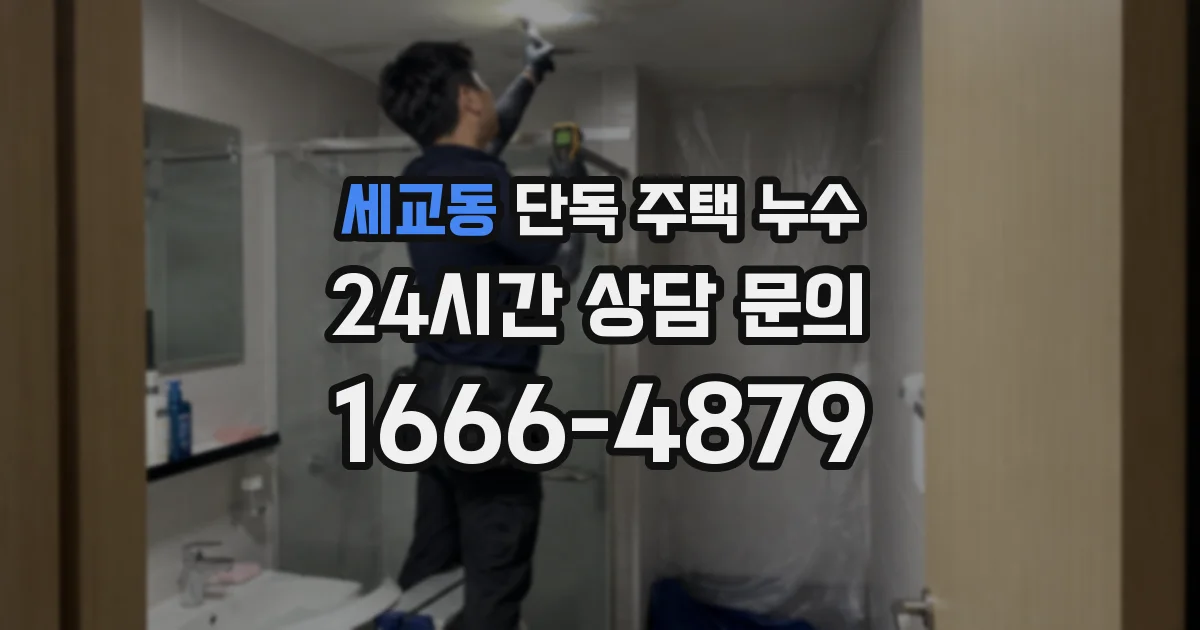 세교동 단독 주택 누수