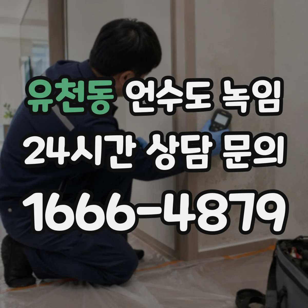 유천동 언수도 녹임