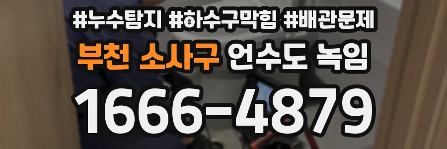 부천 소사구 언수도 녹임