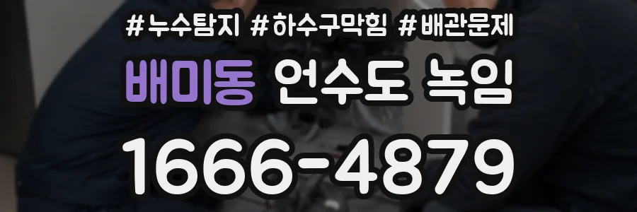 배미동 언수도 녹임