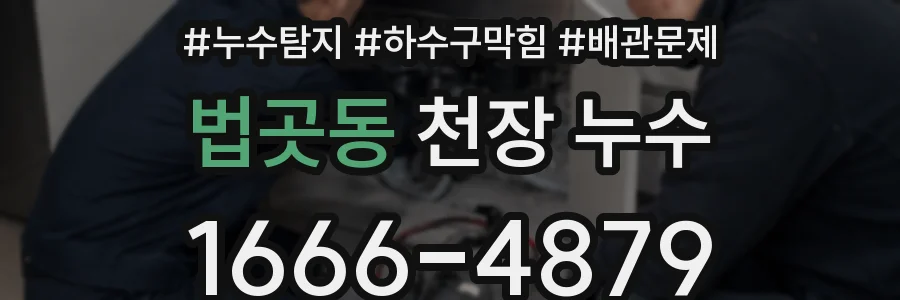 법곳동 천장 누수