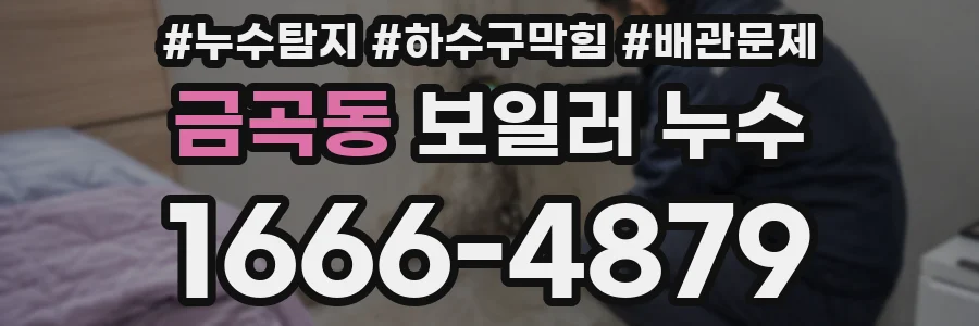 금곡동 보일러 누수