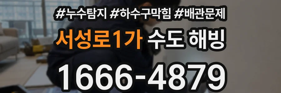 서성로1가 수도 해빙
