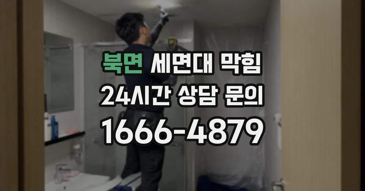 북면 세면대 막힘