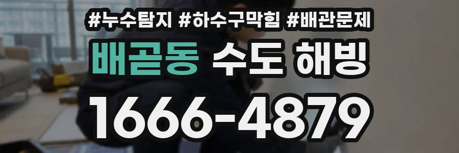 배곧동 수도 해빙