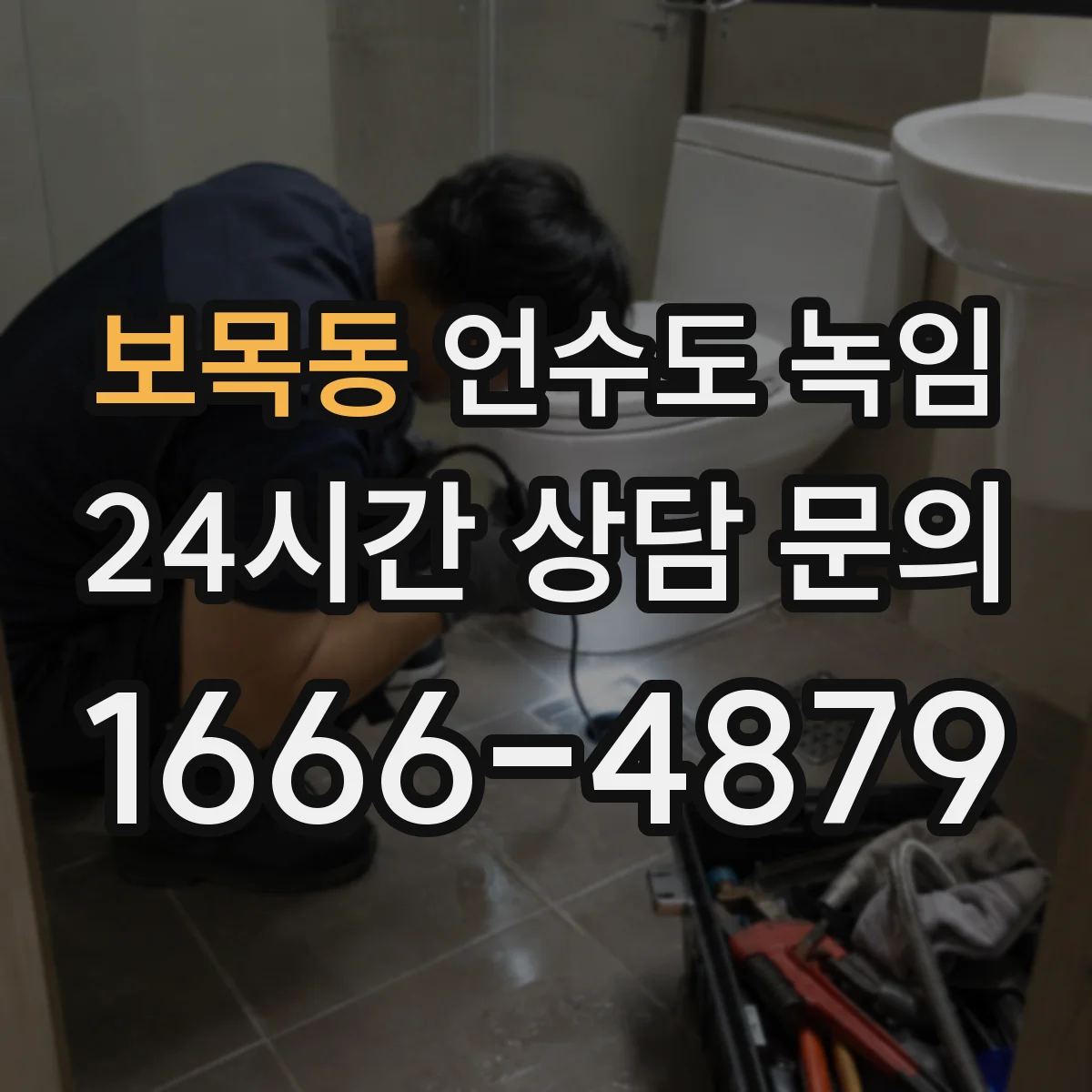 보목동 언수도 녹임