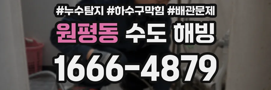 원평동 수도 해빙