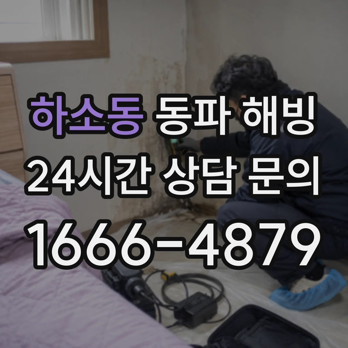 하소동 동파 해빙