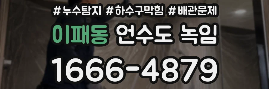 이패동 언수도 녹임