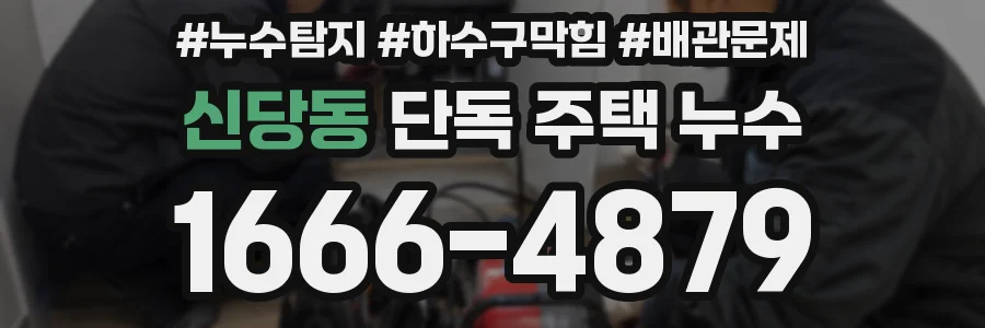 신당동 단독 주택 누수
