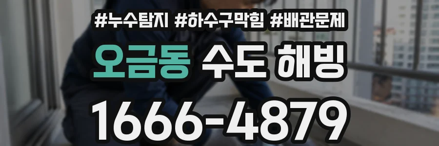 오금동 수도 해빙