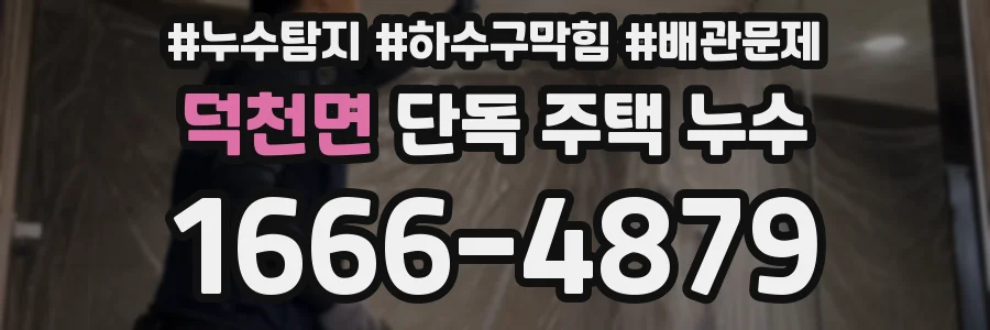 덕천면 단독 주택 누수