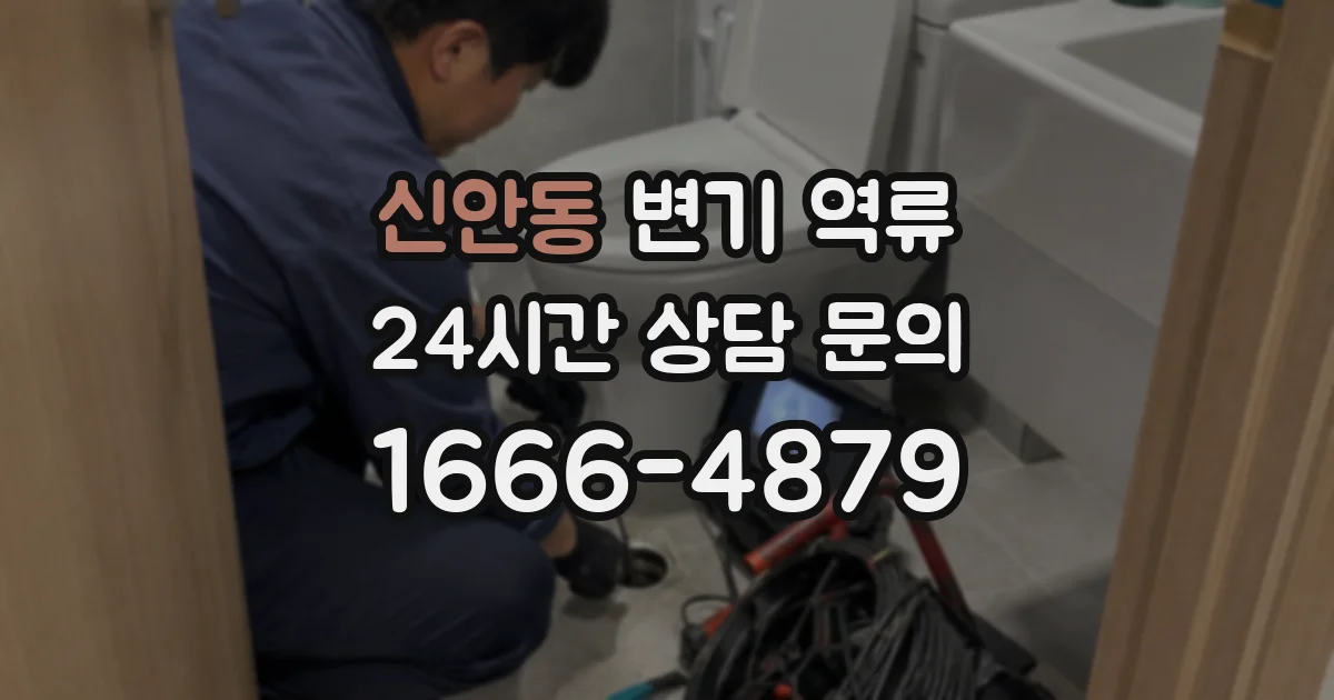 신안동 변기 역류