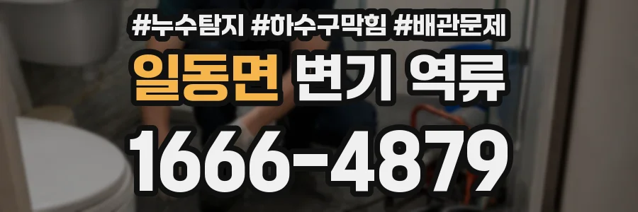 일동면 변기 역류