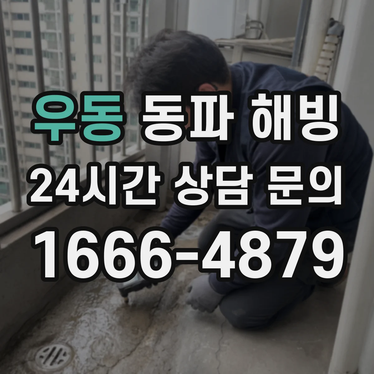 우동 동파 해빙