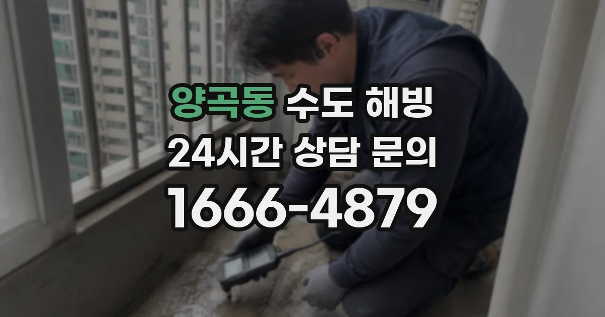양곡동 수도 해빙