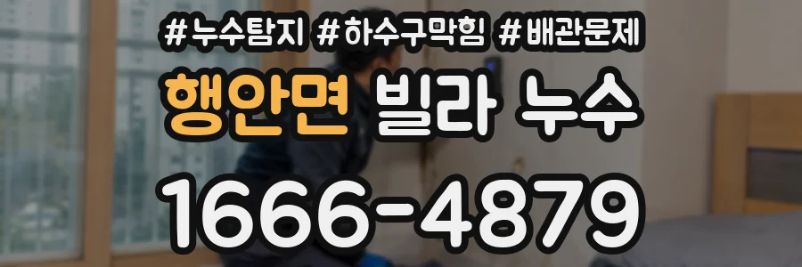 행안면 빌라 누수