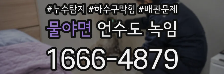 물야면 언수도 녹임