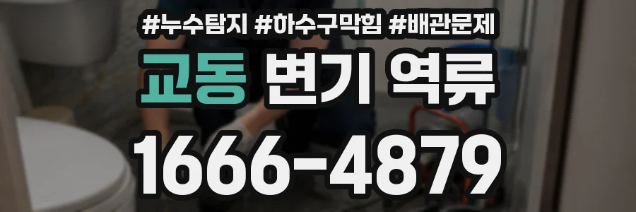 교동 변기 역류