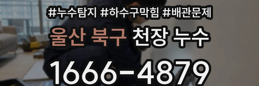 울산 북구 천장 누수