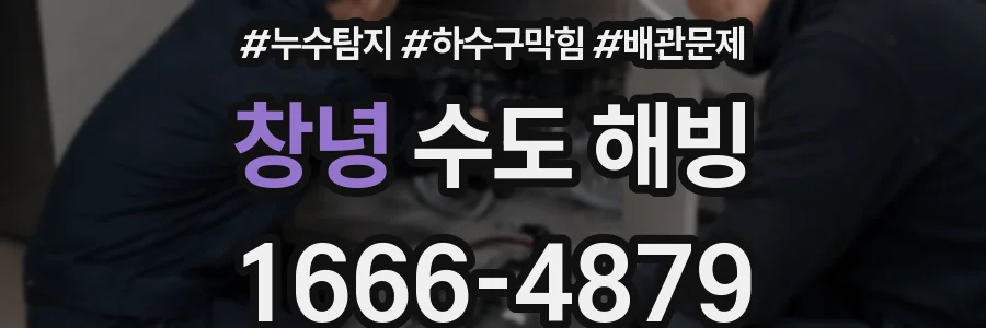 창녕 수도 해빙