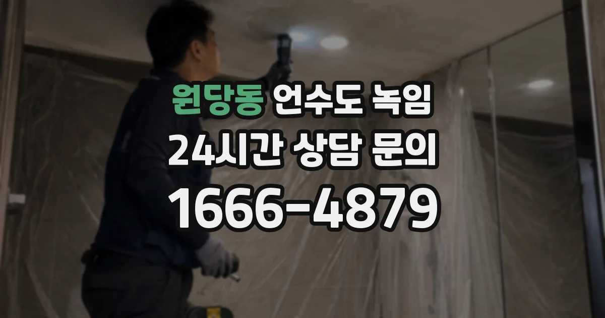 원당동 언수도 녹임