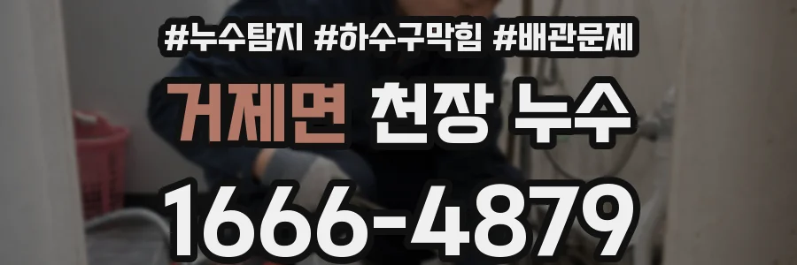 거제면 천장 누수