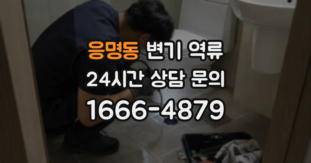 응명동 변기 역류